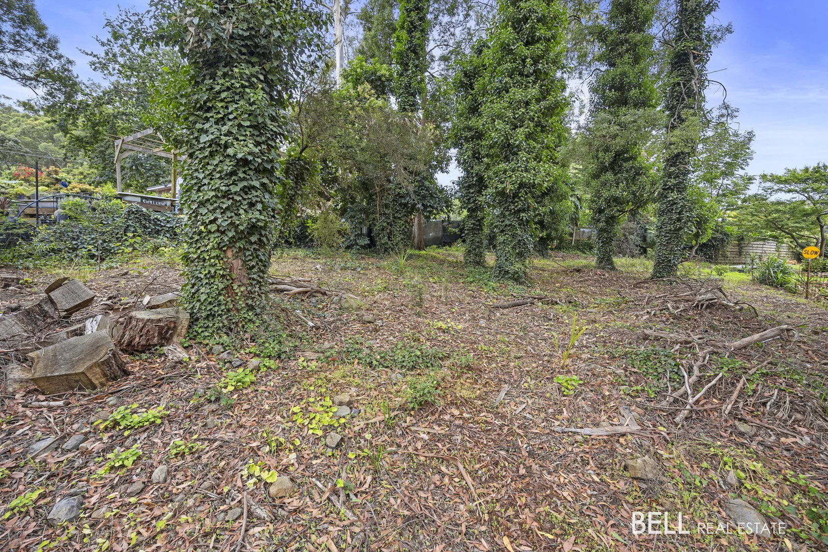 Additional image 3 of 53 Wonga Road, Millgrove VIC 3799