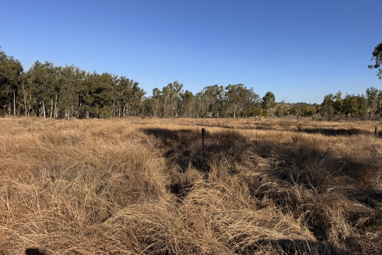 Additional image 5 of "Jalna" 266 Childs Road, Boyne Valley QLD 4680