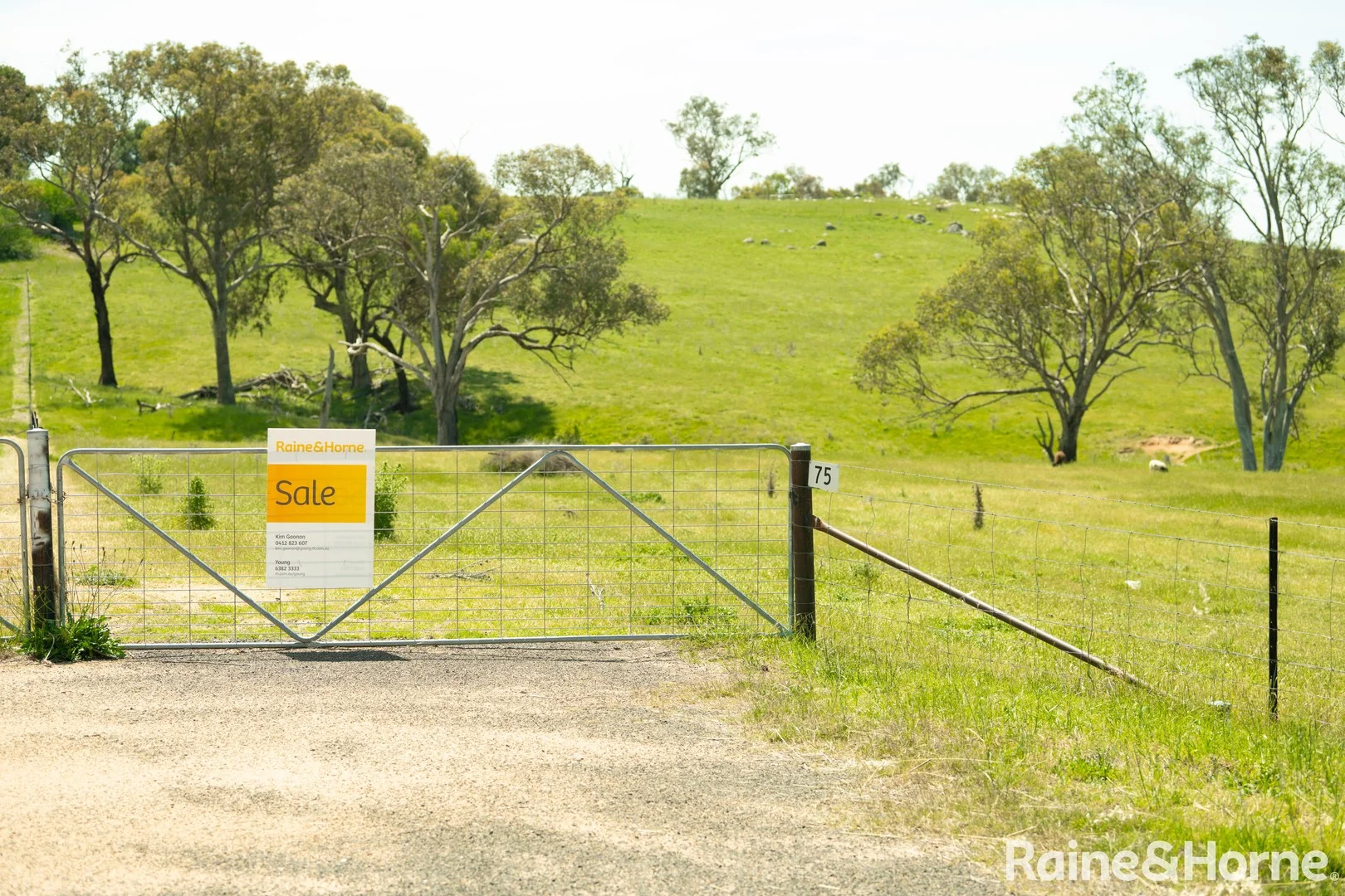 75-84 Crowe Road, Young NSW 2594