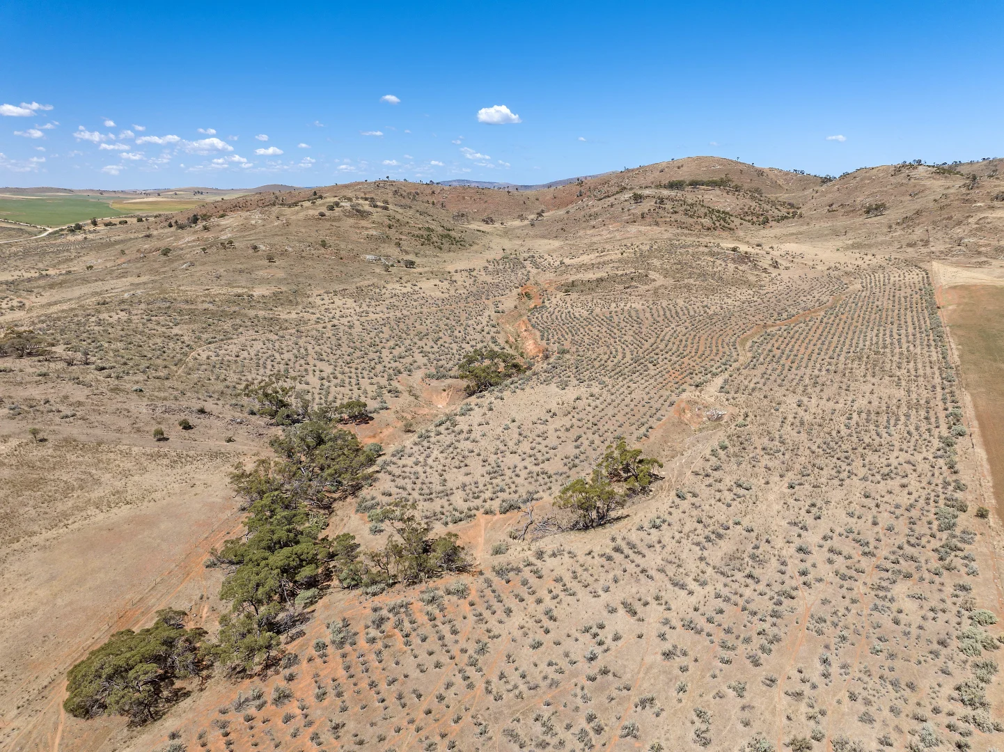 Additional image 5 of 'Hoopers' Sections 98, 99 & 289 Crocker Hill Road, Pekina SA 5431