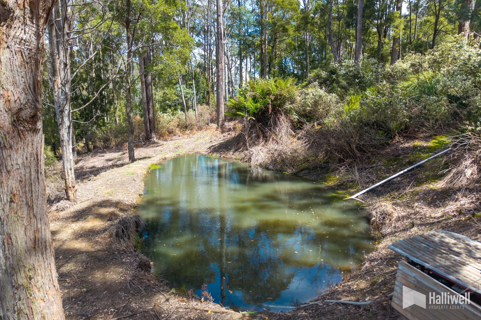 Additional image 4 of 451 Bradys Plain Road, Parkham TAS 7304