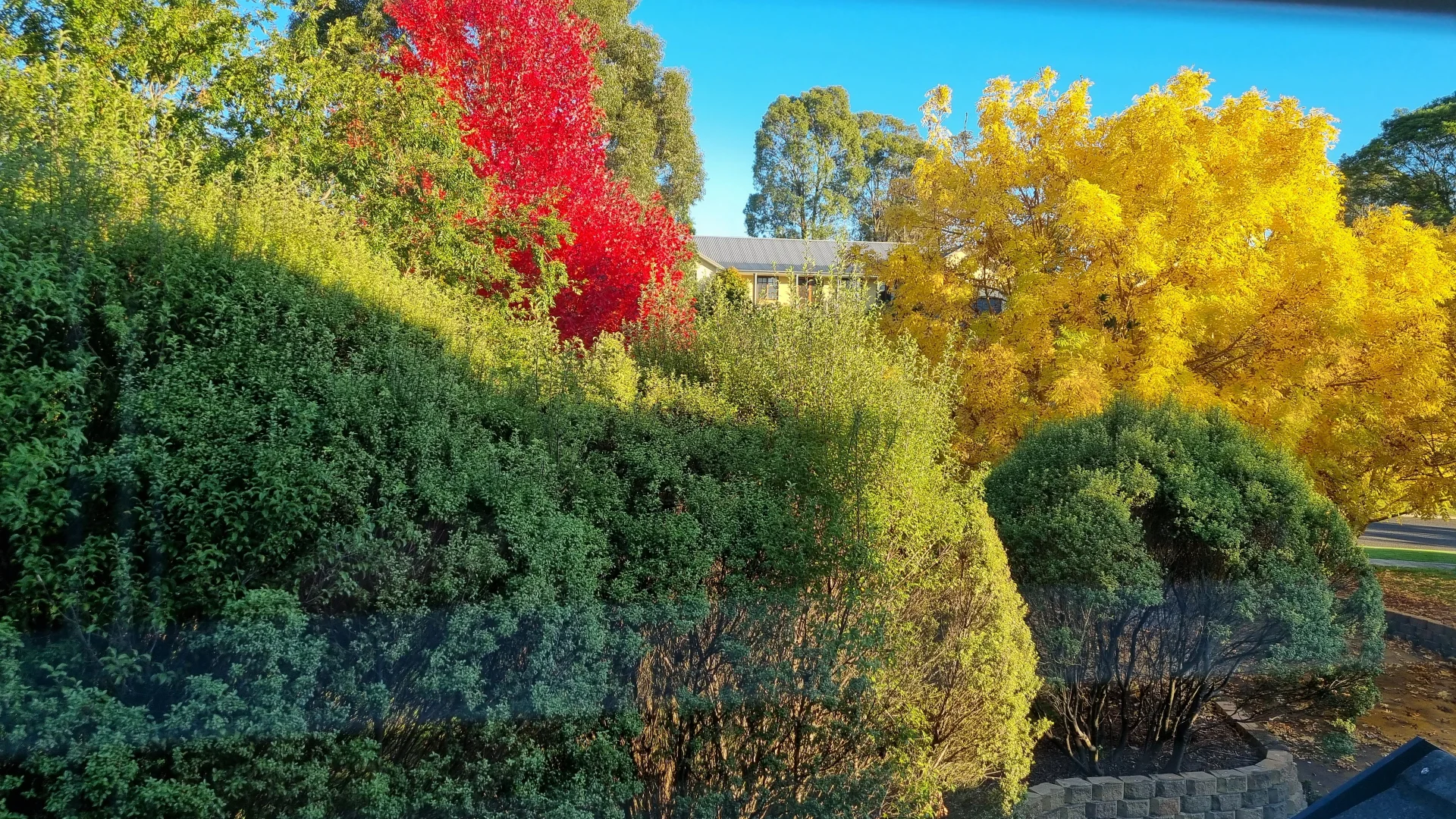 Additional image 35 of 25 Rosemary Crescent, Bowral NSW 2576