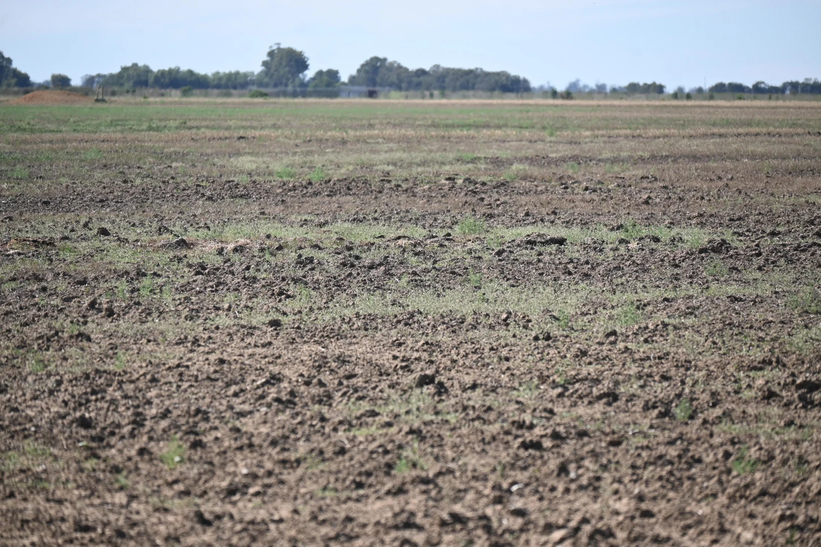 Additional image 41 of 594 Tragowel Road, Tragowel VIC 3579