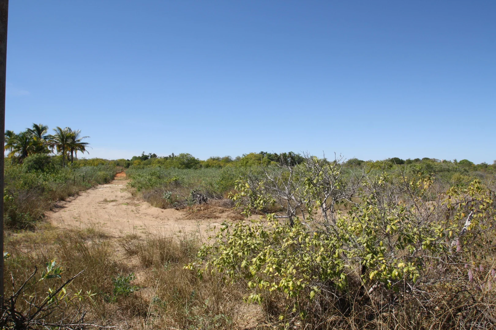 Additional image 15 of LOT 7 Stanley Place, Waterbank WA 6725