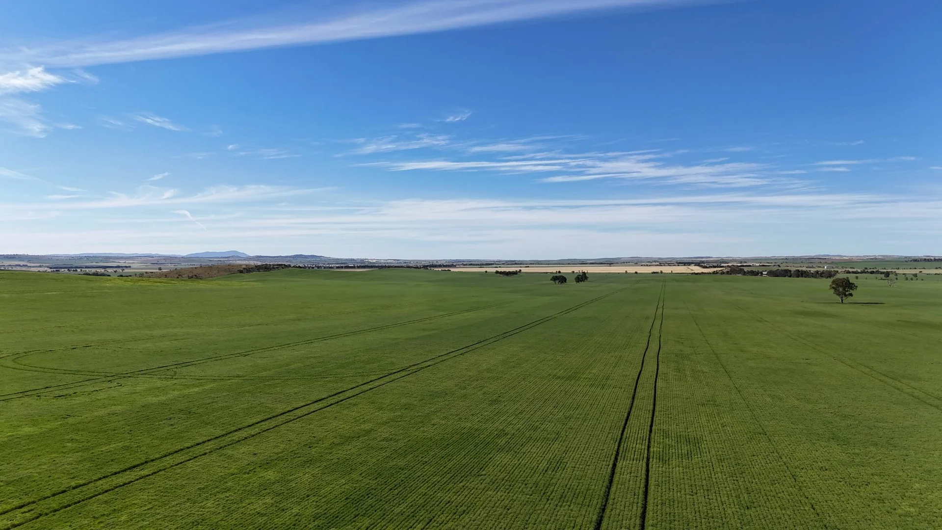 Additional image 4 of 'Pinefield' 186 Catford Rd, Appila SA 5480