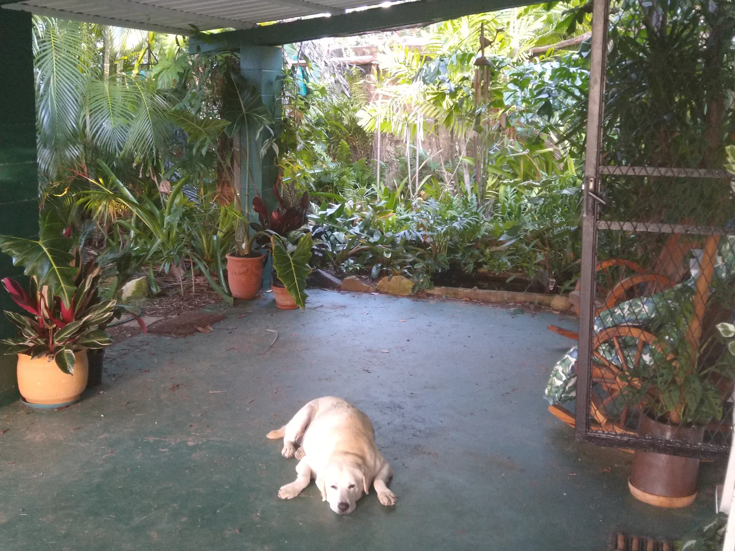 Additional image 28 of 697 Bootooloo Road, Bowen QLD 4805