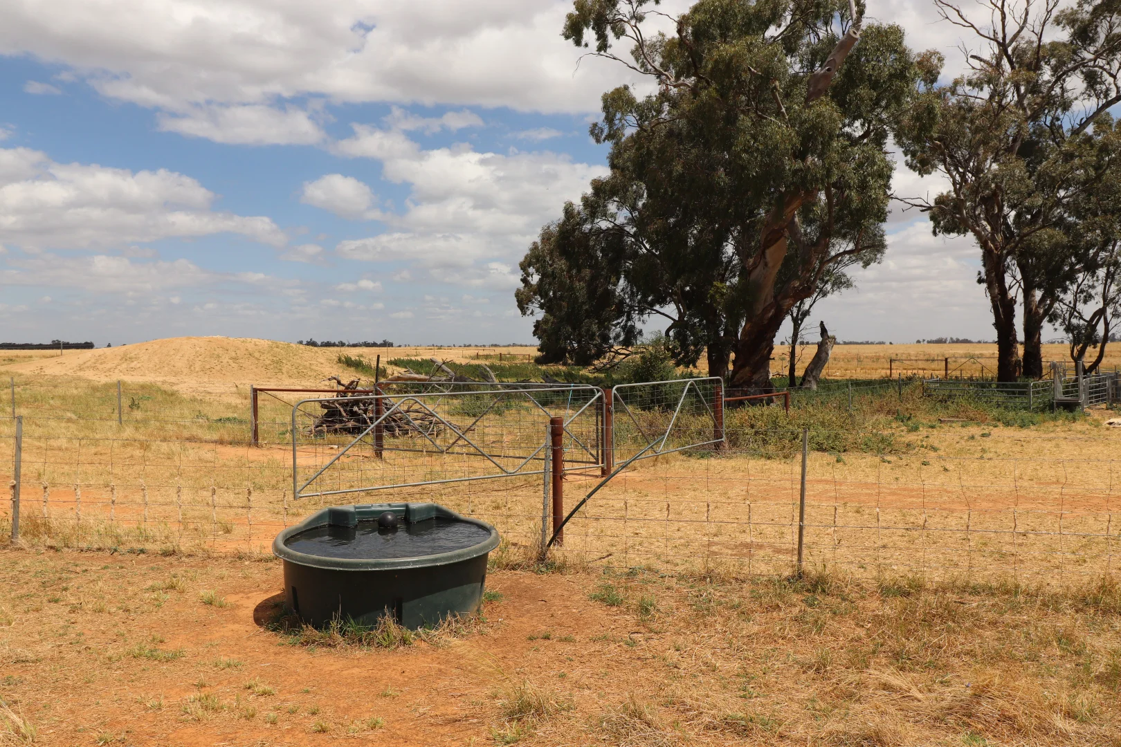 Additional image 10 of 'East Gathan' 509 Gathan Road, Deniliquin NSW 2710