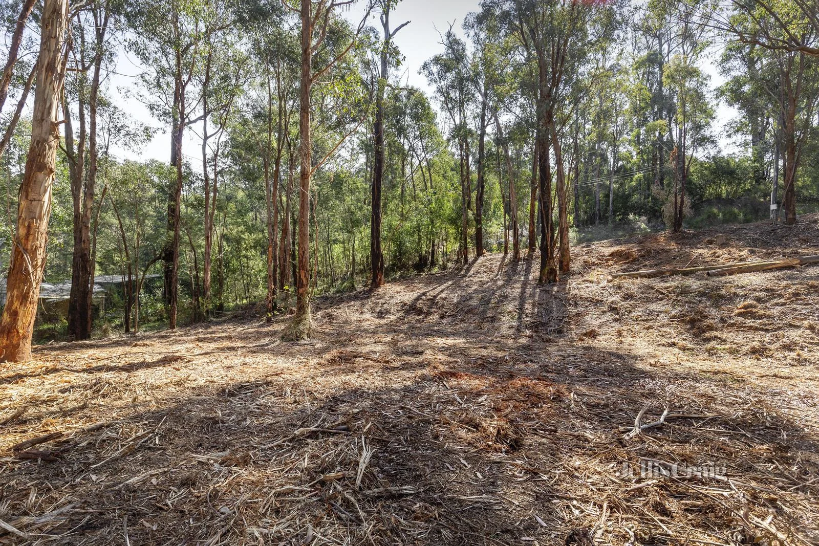 Additional image 7 of 37 Silver Parrot Road, Flowerdale VIC 3717