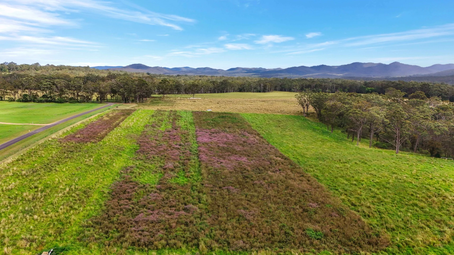 Additional image 57 of Lot 83 Chester Road, Wondecla QLD 4887