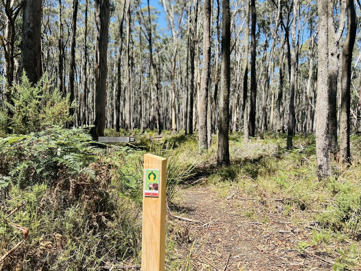 Additional image 2 of 18 Golden Point Road, Trentham VIC 3458