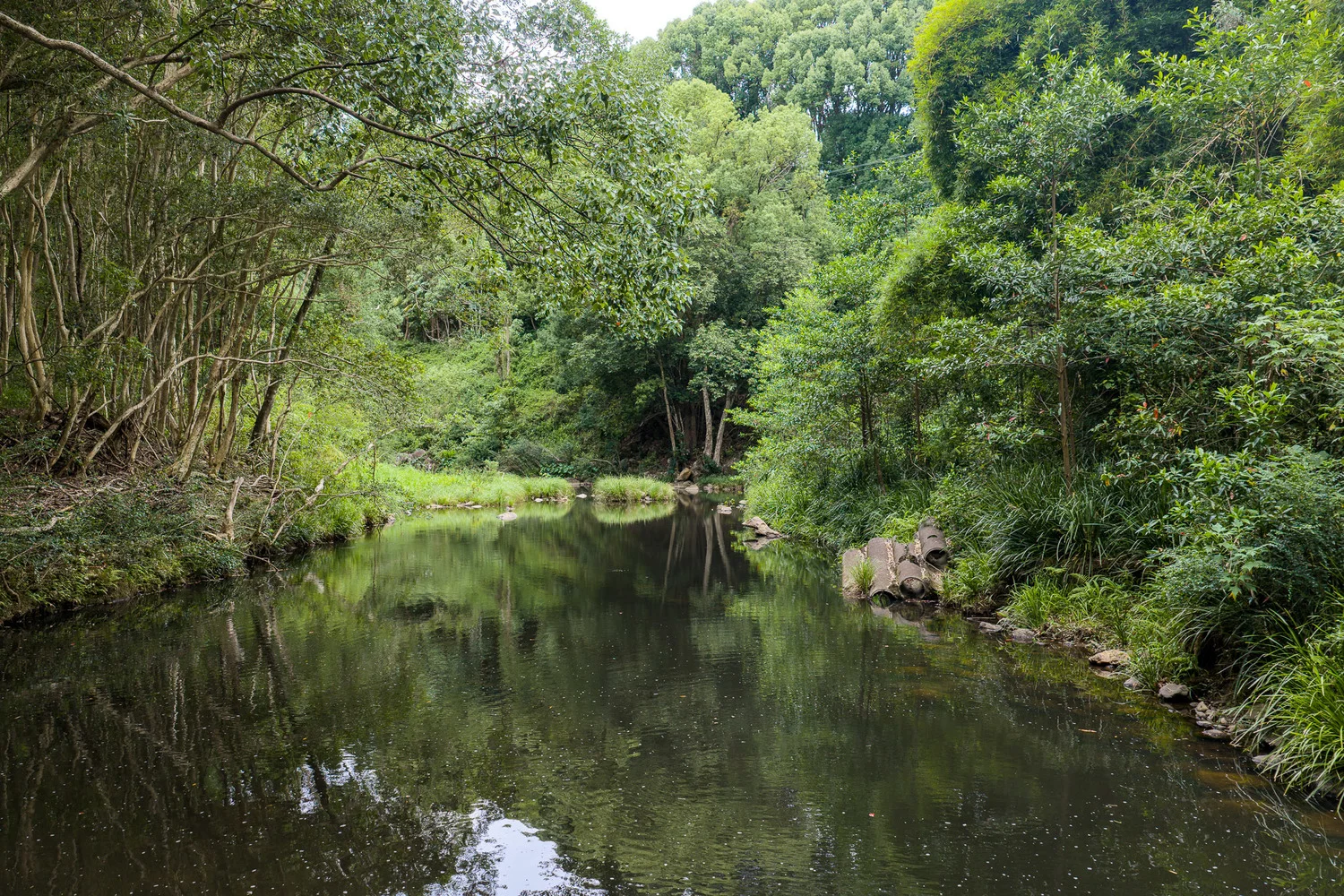 Additional image 33 of 86 Parmenters Road, Wilsons Creek NSW 2482