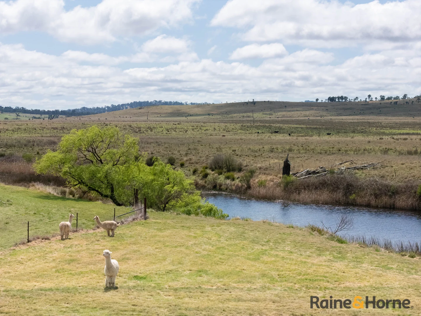 Additional image 33 of Lot 122 Nine Mile Road, Glen Innes NSW 2370