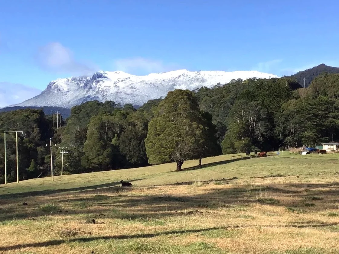 Additional image 9 of 12384 Murchison Highway, Rosebery TAS 7470