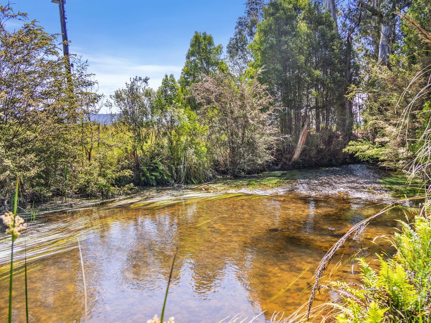 Additional image 25 of 600 Marysville Road, Narbethong VIC 3778