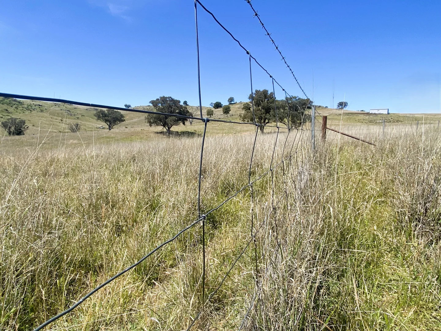 Additional image 27 of 250 Emu Creek Road, Canowindra NSW 2804