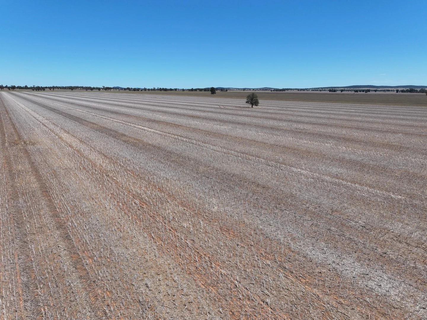 "Glen Avon" 99 Davies Lane, Caragabal NSW 2810