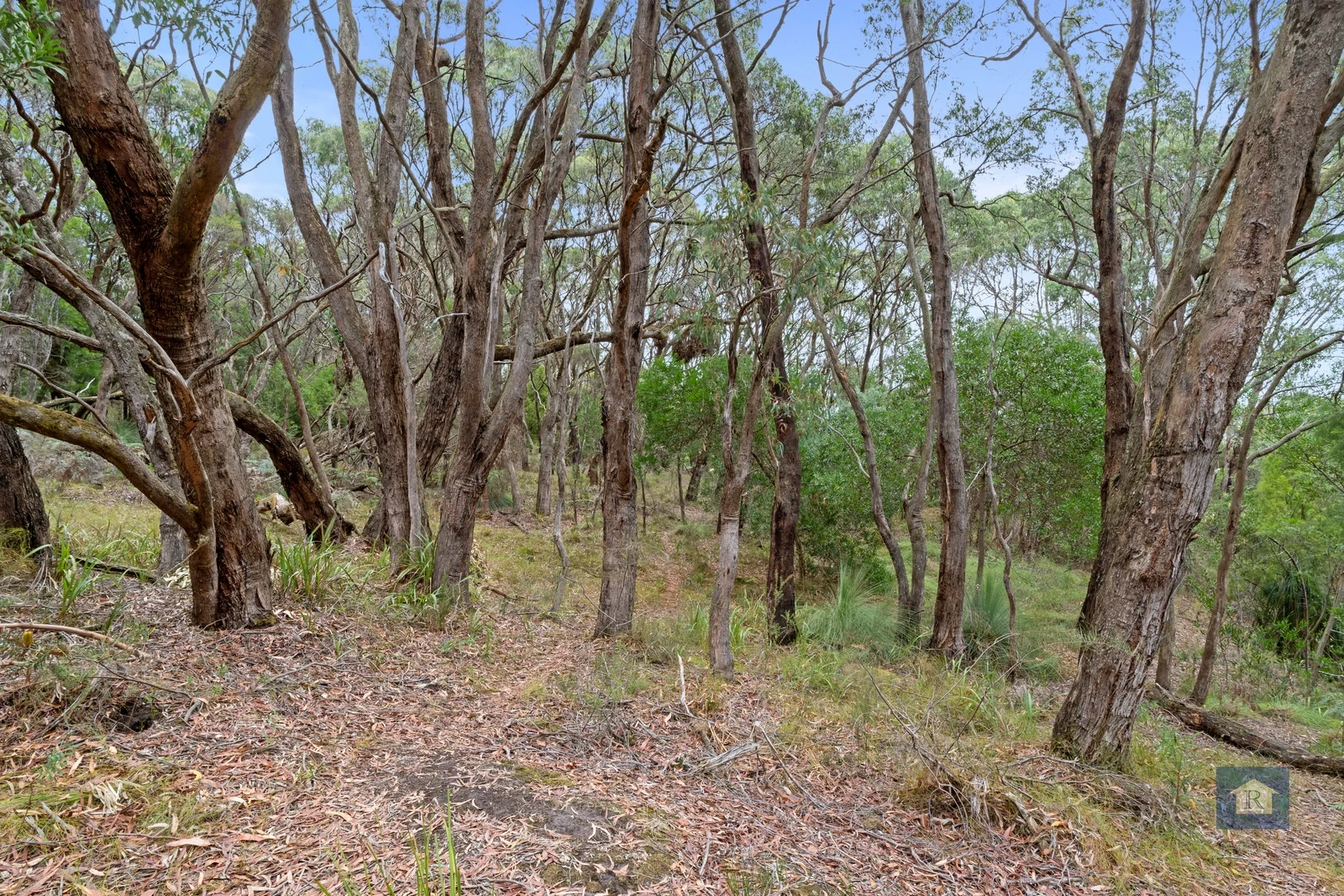 Additional image 10 of 80 Bull Hill Road, Kawarren VIC 3249