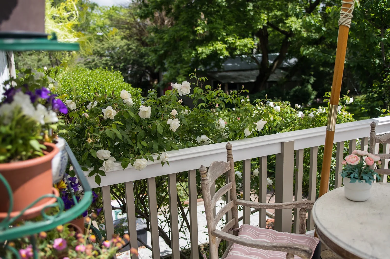 Additional image 22 of 26 Clarke Street, Bowral NSW 2576
