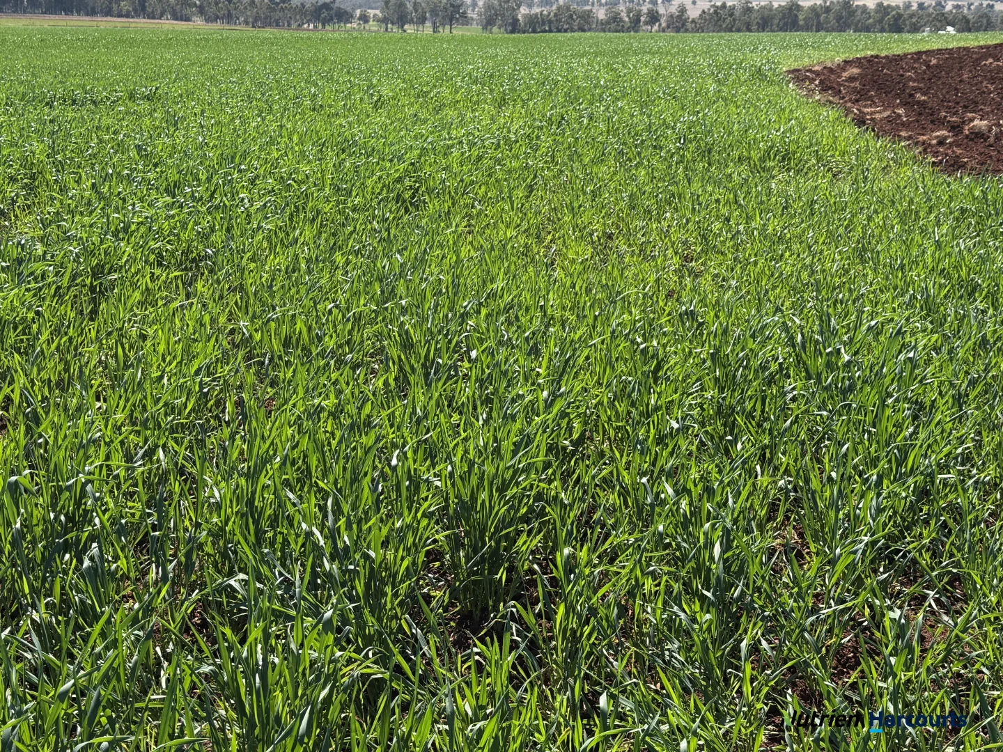 Additional image 21 of Lot 2 Reedy Creek Road, Benair QLD 4610