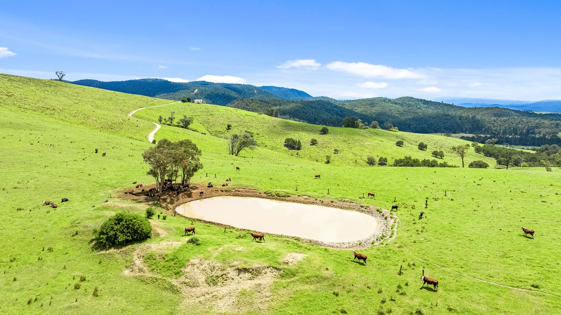 Additional image 7 of Seaton VIC 3858