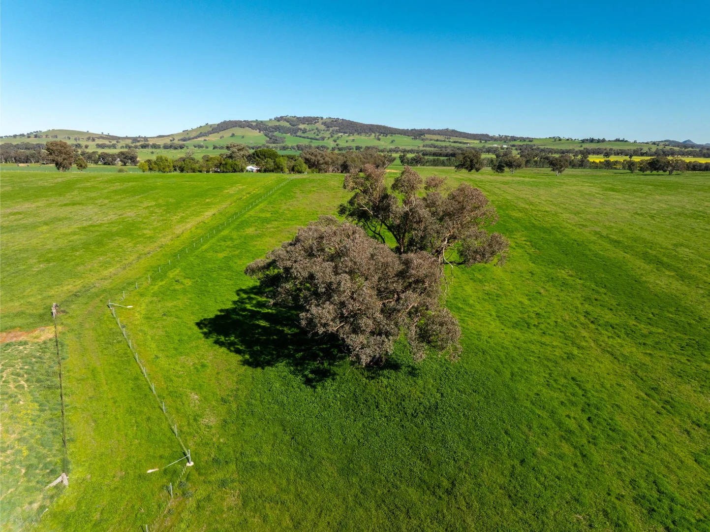 Additional image 12 of 272 Bulloc Hill Road, Mangoplah NSW 2652