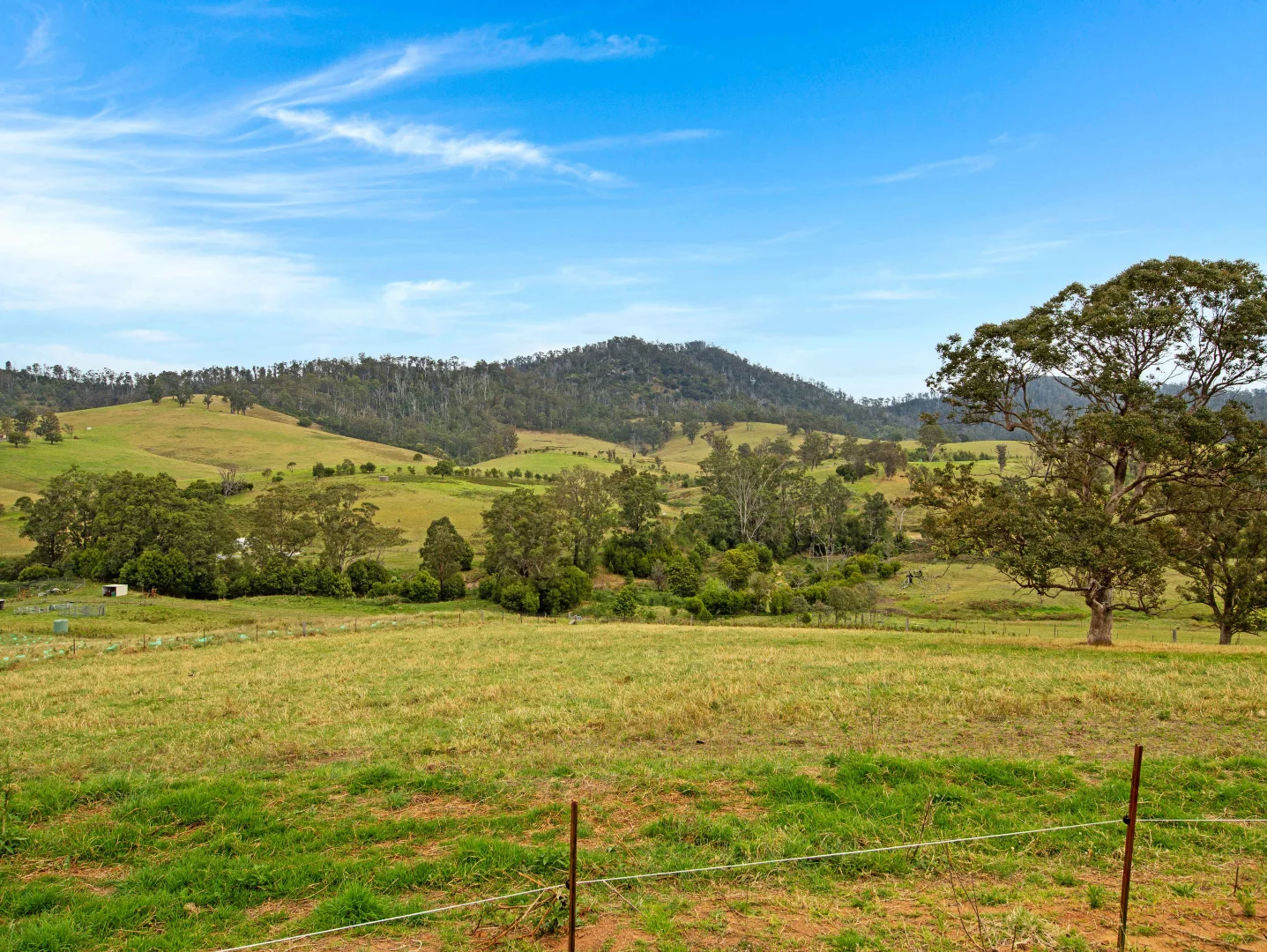 Additional image 17 of 375 Gilberts Road, Cobargo NSW 2550