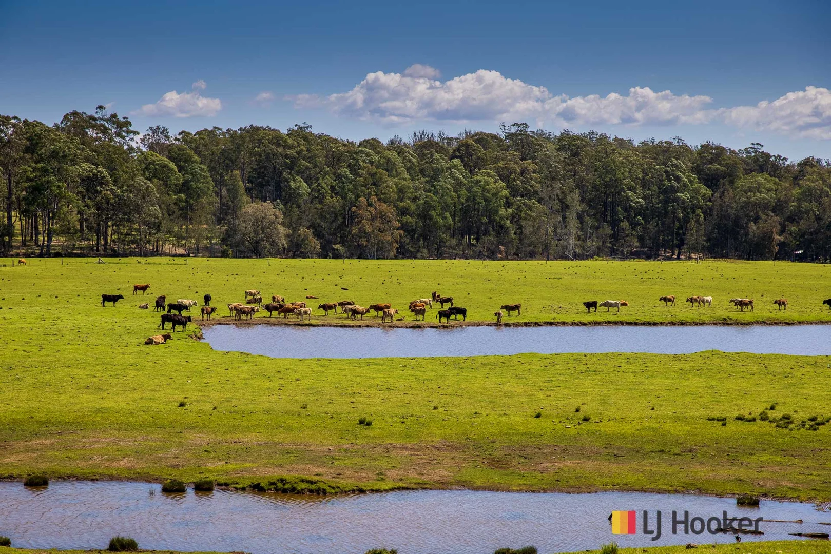 Additional image 4 of 1109 Princes Highway, Mogo NSW 2536