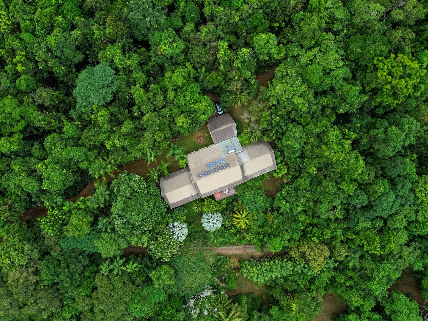 Additional image 17 of 257 Cape Kimberley Road, Daintree QLD 4873