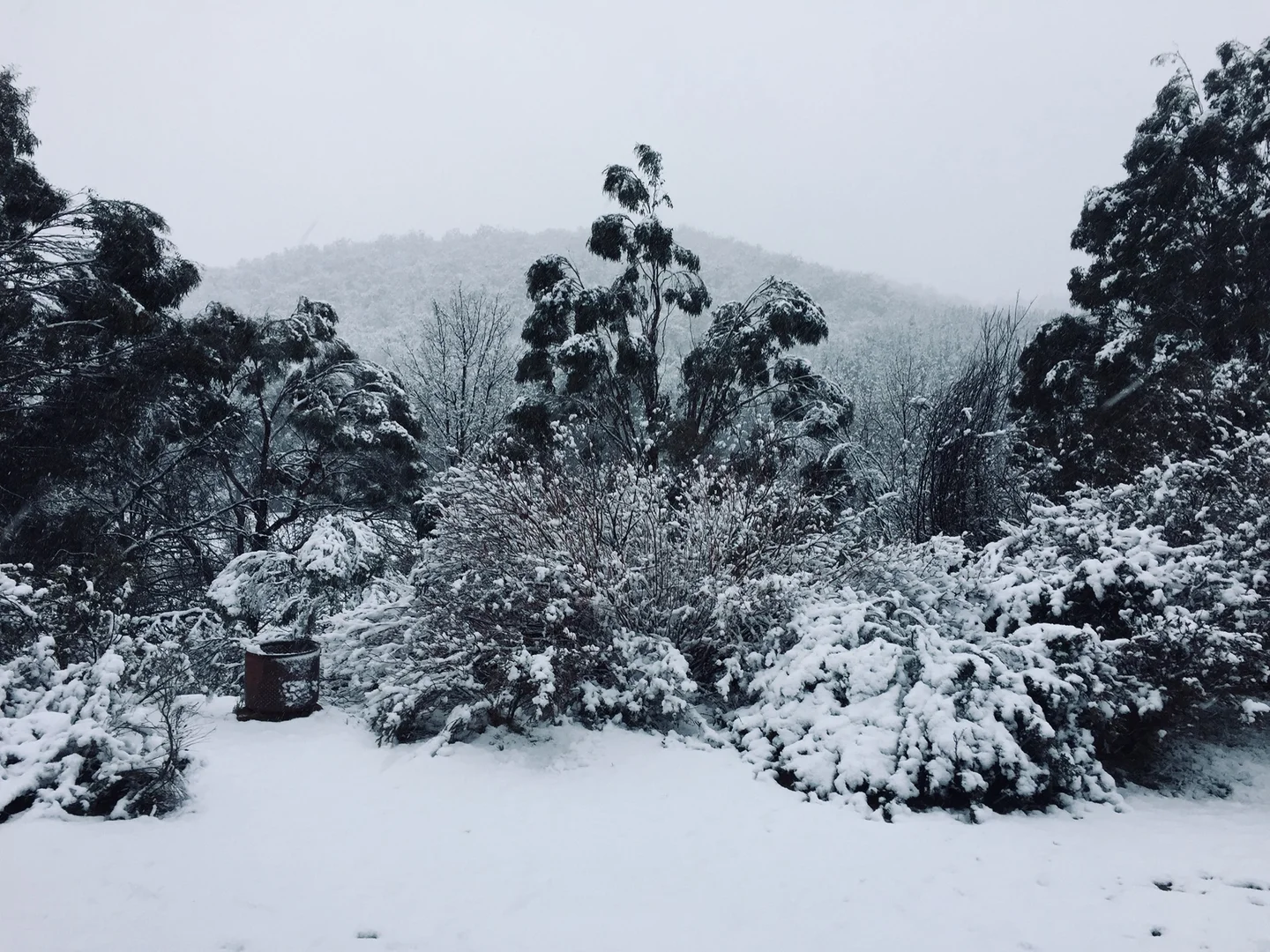 Additional image 14 of 4782 Jerangle Road, Captains Flat NSW 2623