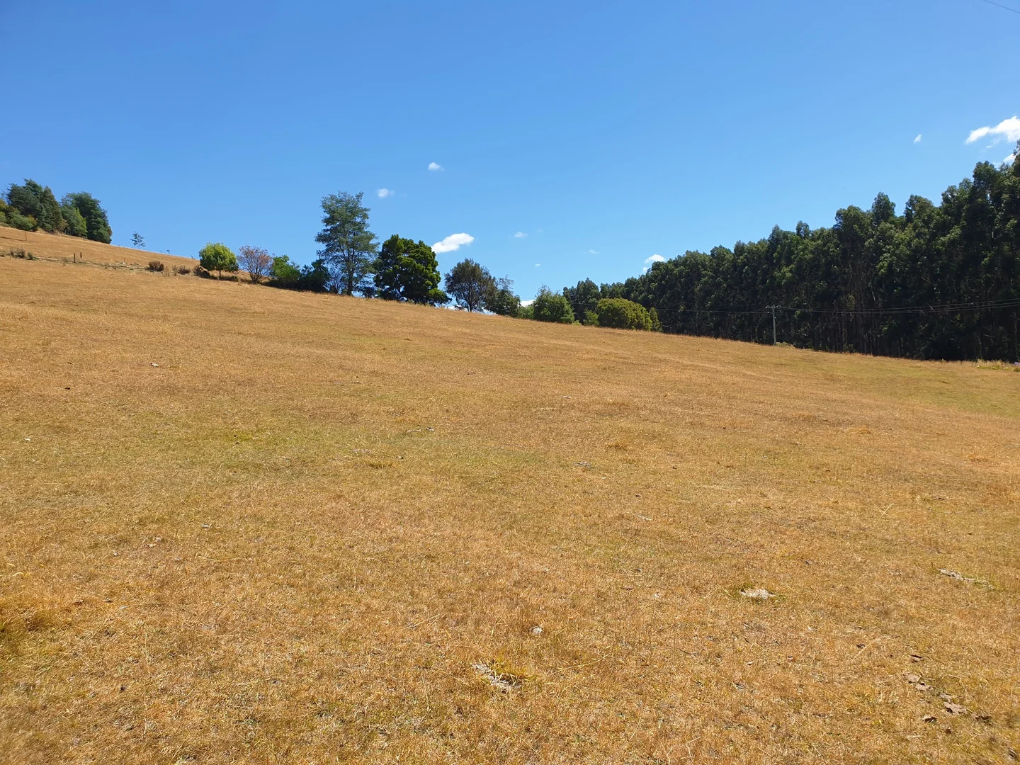 Additional image 8 of Lot 3 Ferrar Road, Geeveston TAS 7116