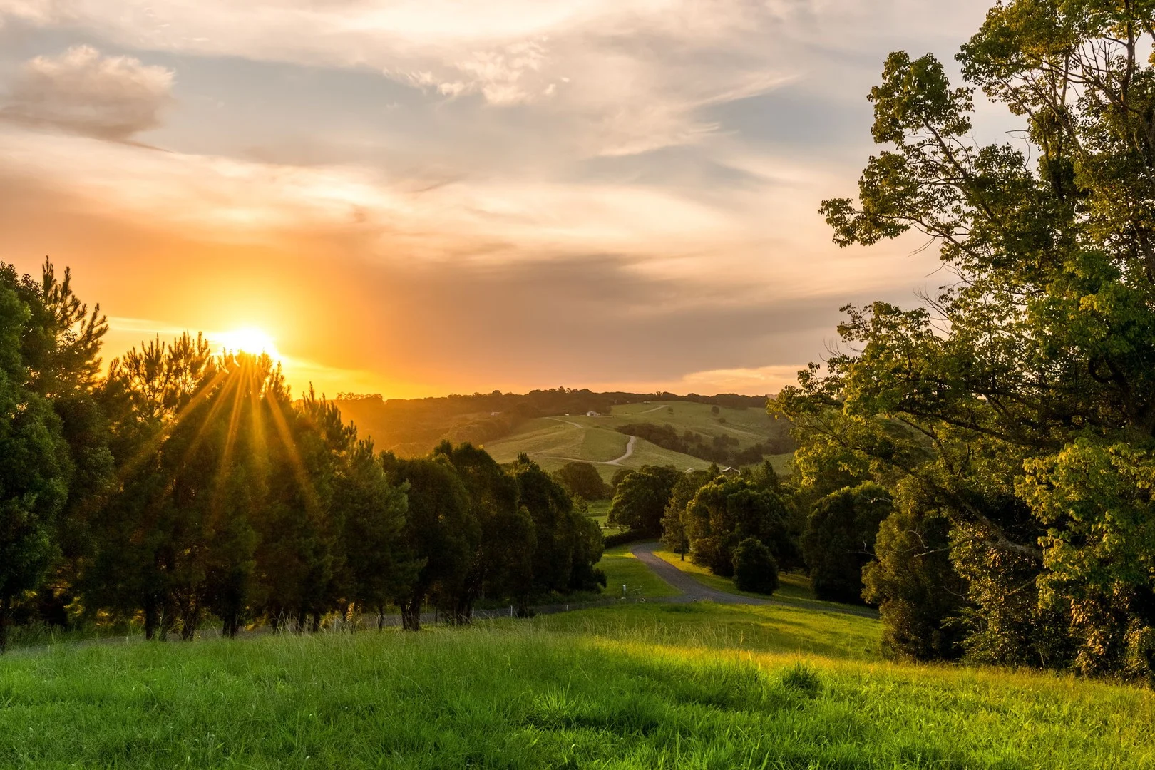 Additional image 6 of 111 Fowlers Lane, Bangalow NSW 2479