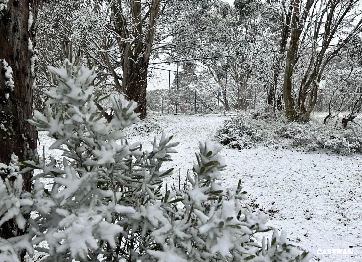 Additional image 7 of 4 Cuff N Collar Lane, Dinner Plain VIC 3898