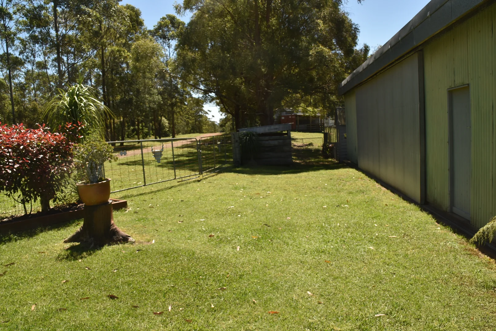 Additional image 53 of 813 Newmans Road, Topi Topi NSW 2423