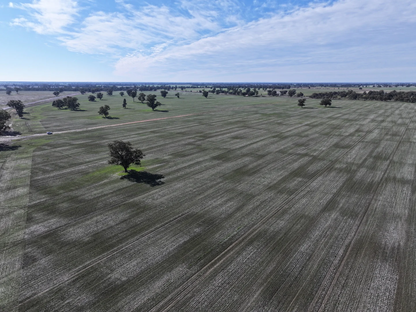 Additional image 16 of Berrigan Oaklands Road, Berrigan NSW 2712