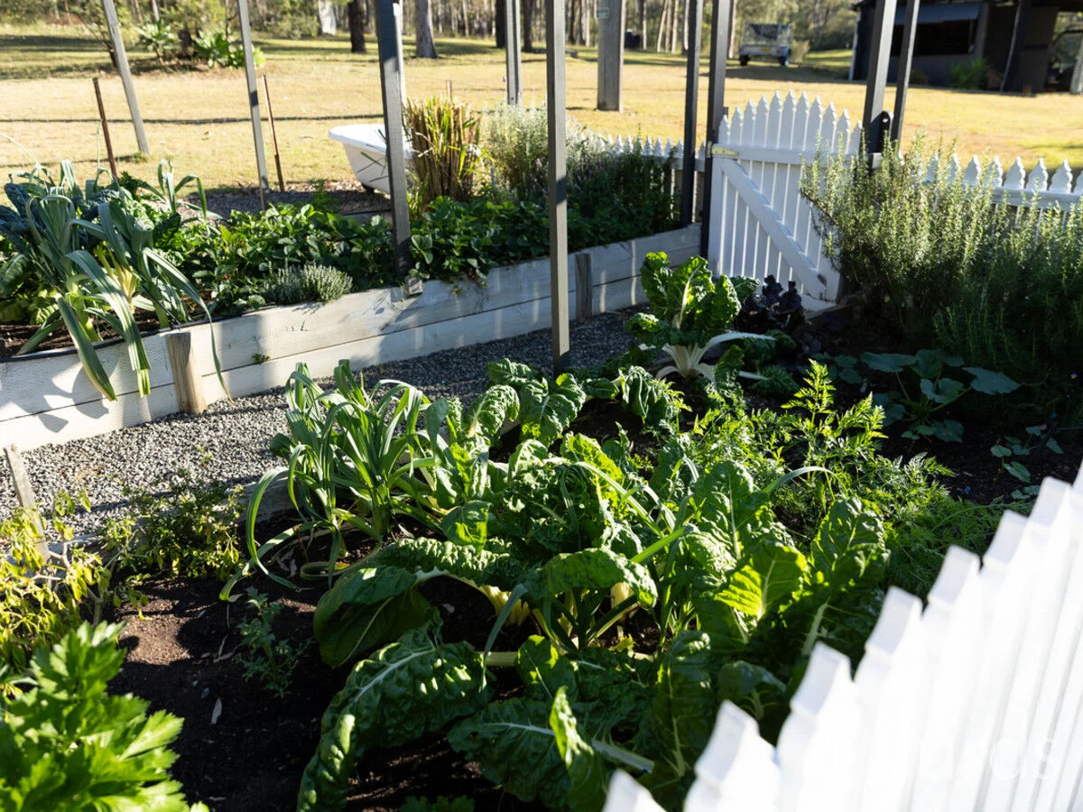 Additional image 5 of 64 Tuckers Lane, North Rothbury NSW 2335