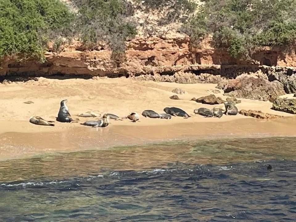 Additional image 29 of Lot 1 Esplanade, Fowlers Bay SA 5690