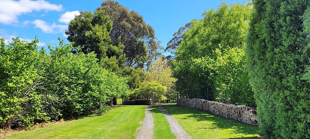 Additional image 26 of 174 Fabers Road, Riana TAS 7316