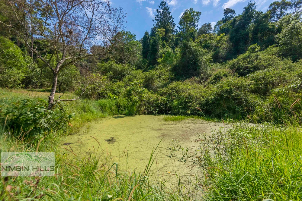 Additional image 22 of 129A Bolziccos Road, Kyogle NSW 2474