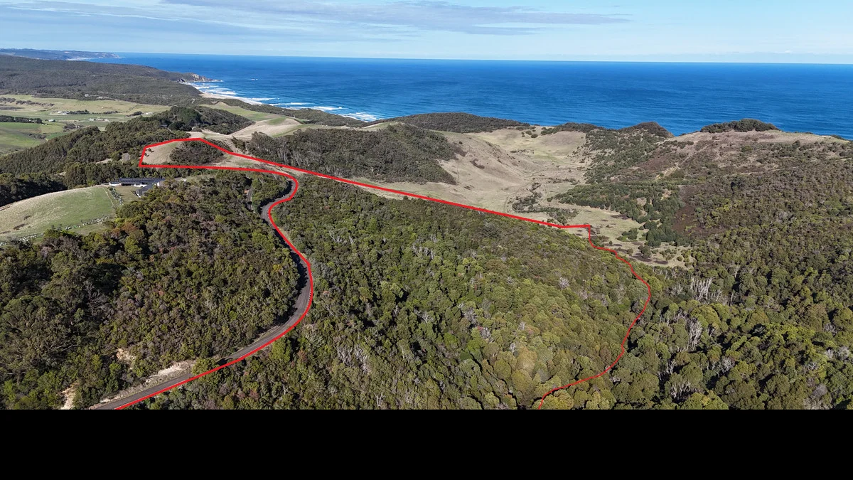 650 Blue Johanna Road, Johanna VIC 3238