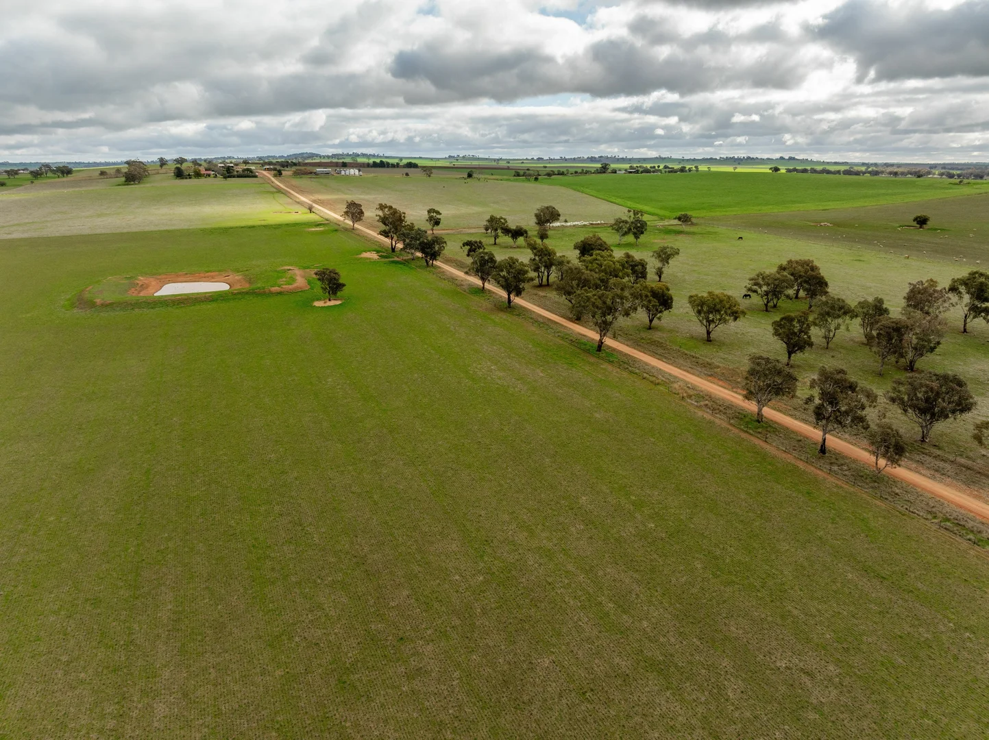 Additional image 16 of 79 Goldfields Way Old Junee Via, Wagga Wagga NSW 2650