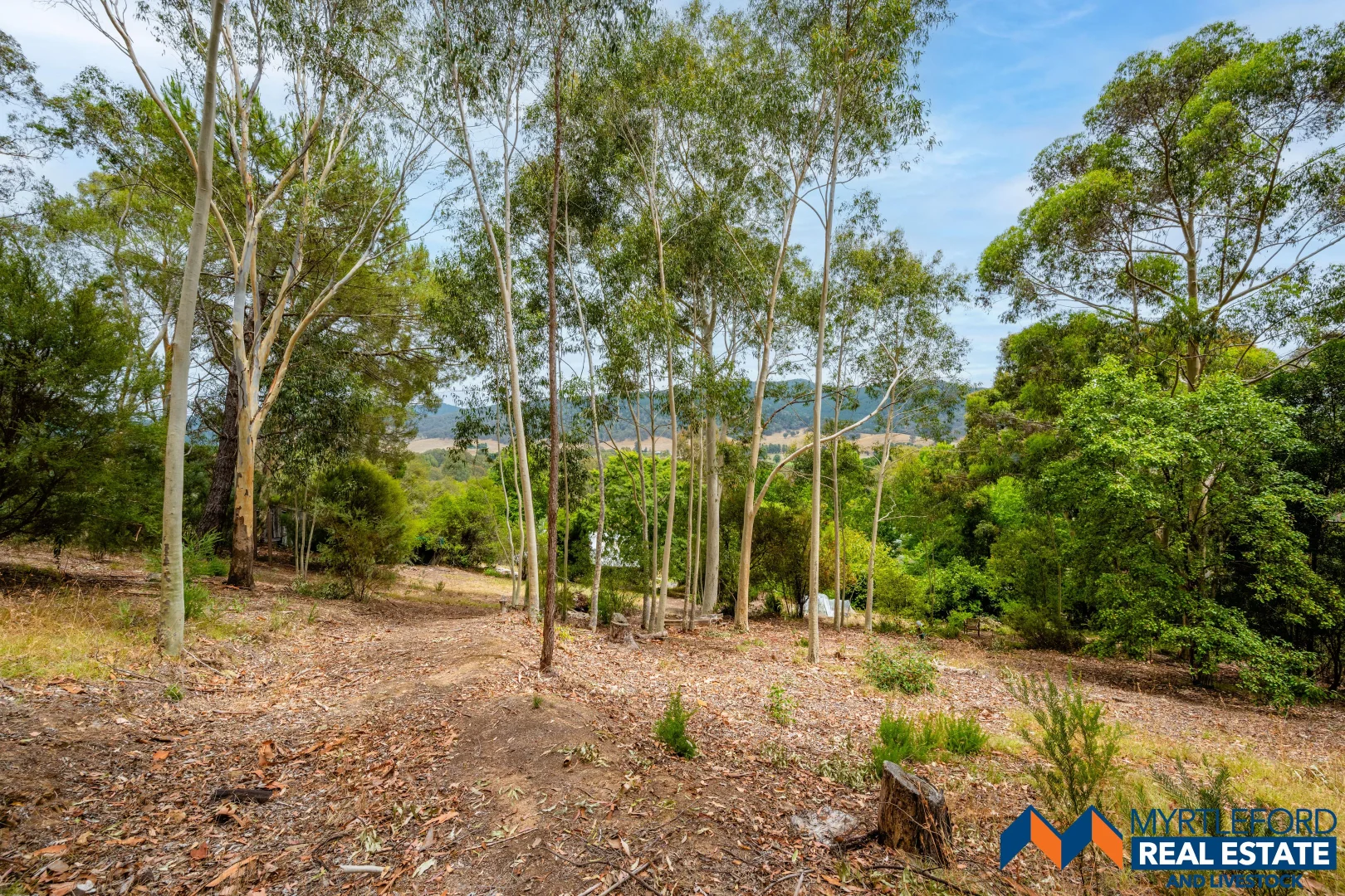 Additional image 12 of 323 Buffalo River Road, Myrtleford VIC 3737