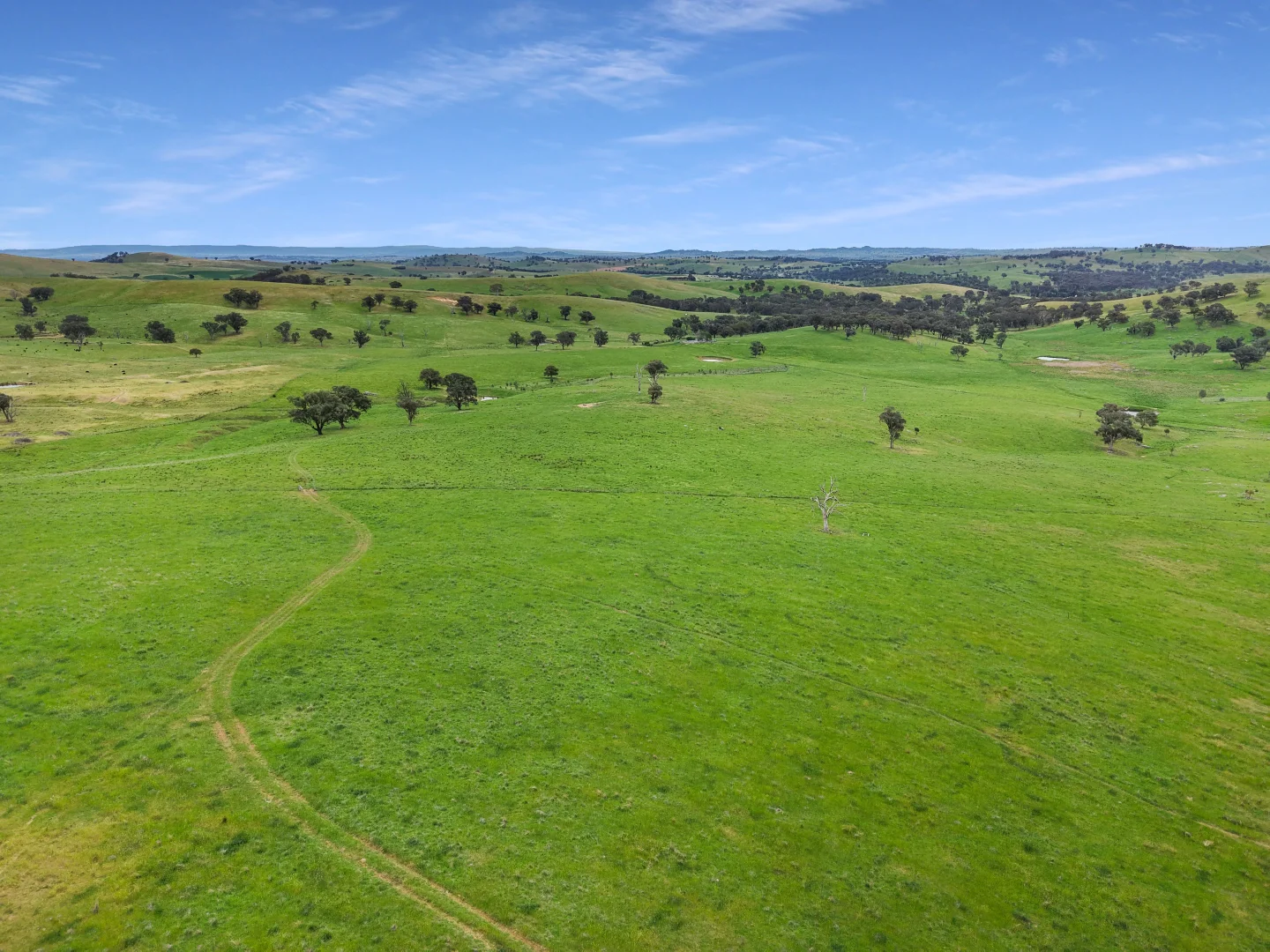 Additional image 38 of 'horse Gully' Old Waugoola Road, Woodstock NSW 2793