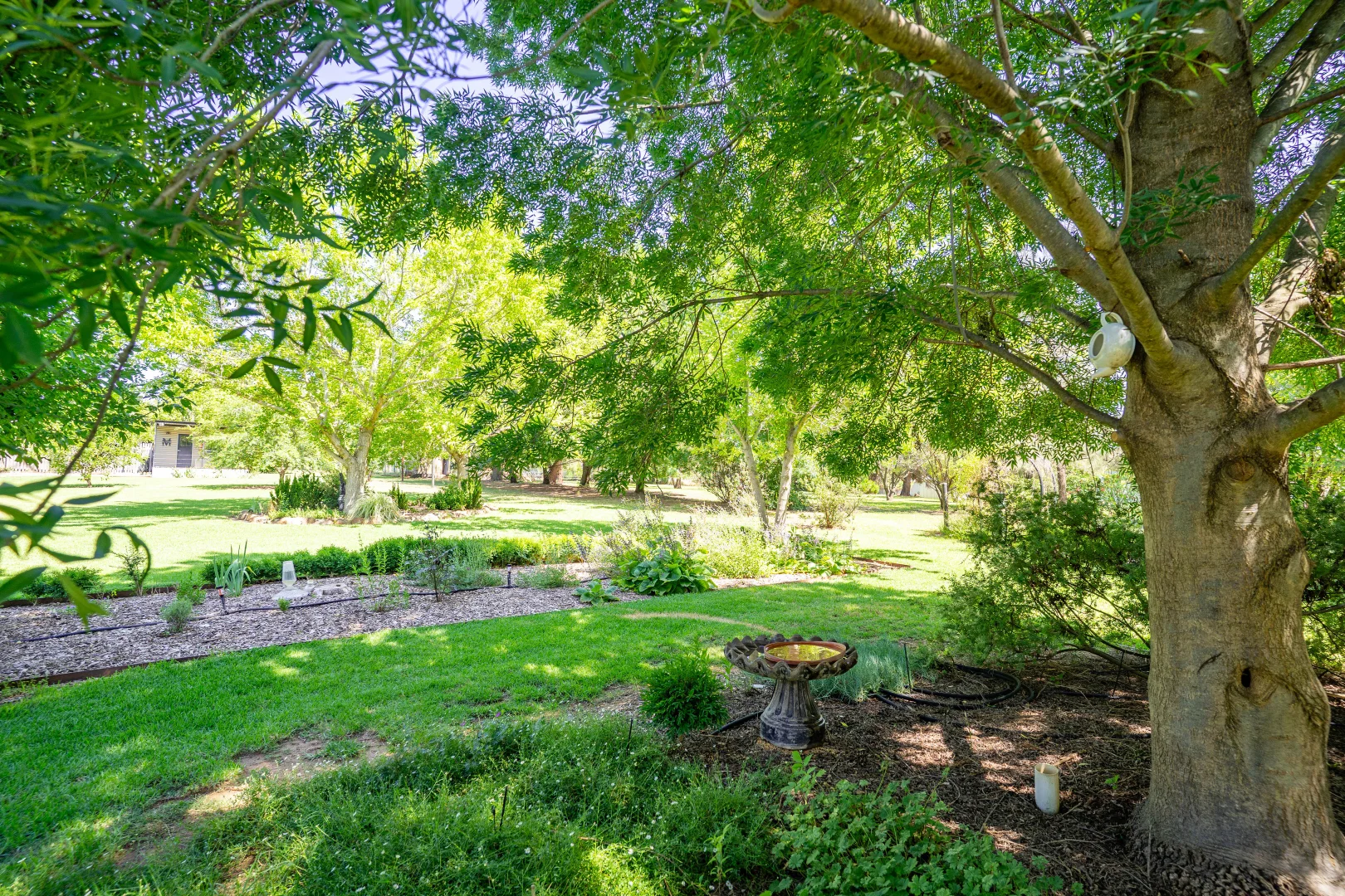 Additional image 29 of 5 East Street, Canowindra NSW 2804