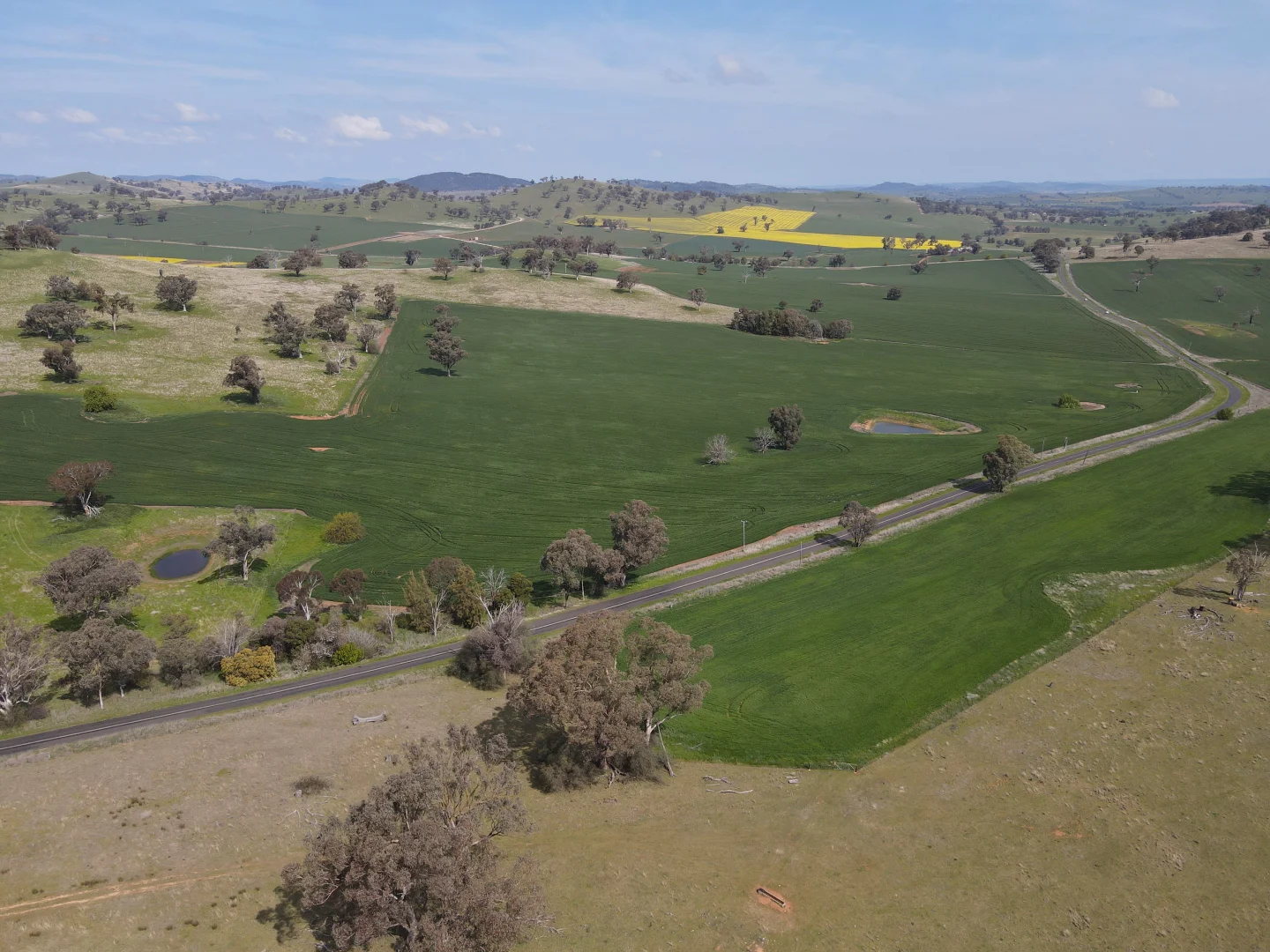 Additional image 6 of Woodstock NSW 2793