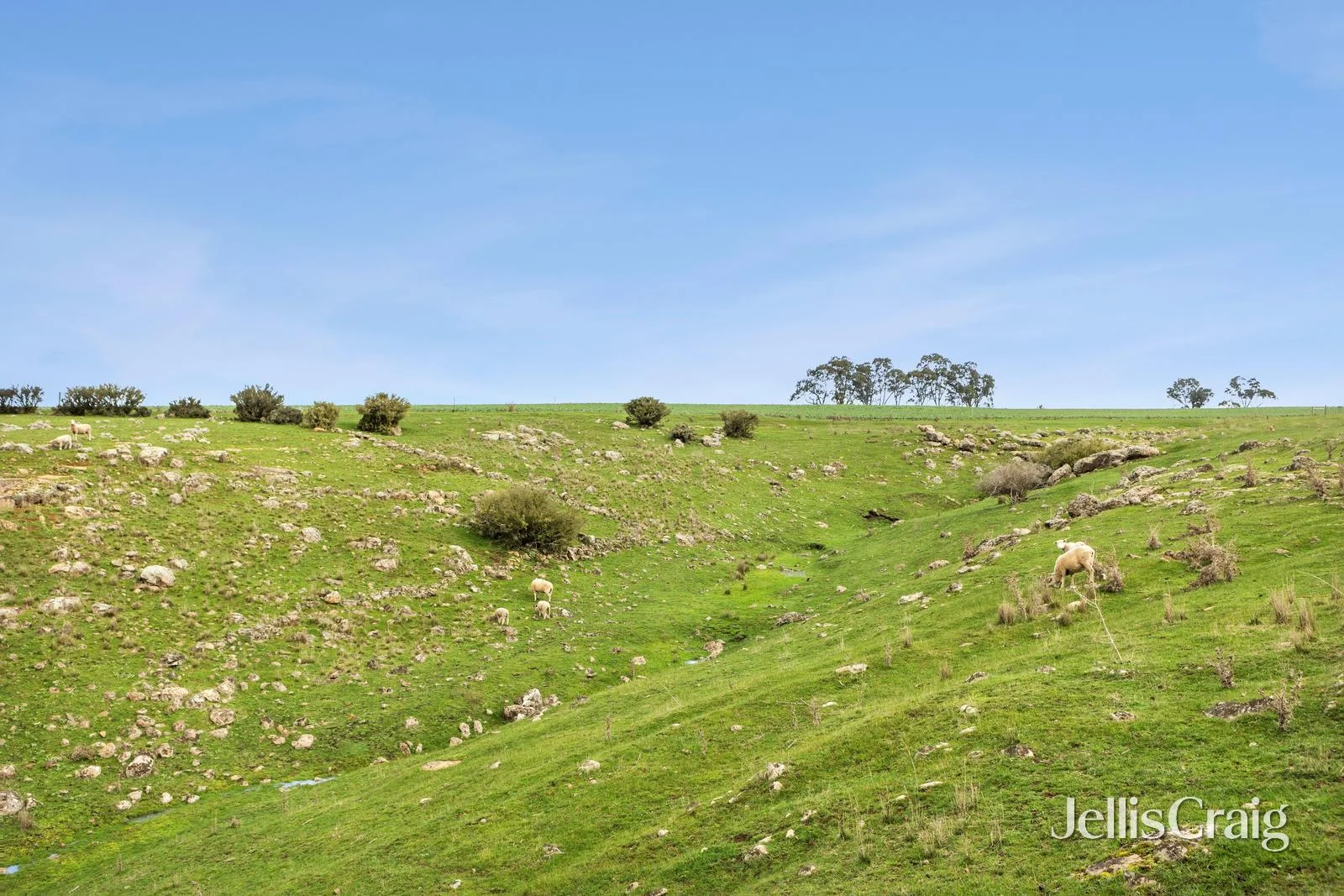 Additional image 12 of Lot 2/2970 Ballarat Maryborough Road, Clunes VIC 3370