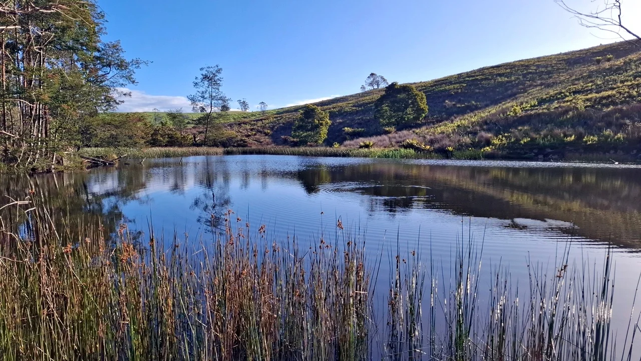 Additional image 22 of 108 Weeks Road, Barrington TAS 7306