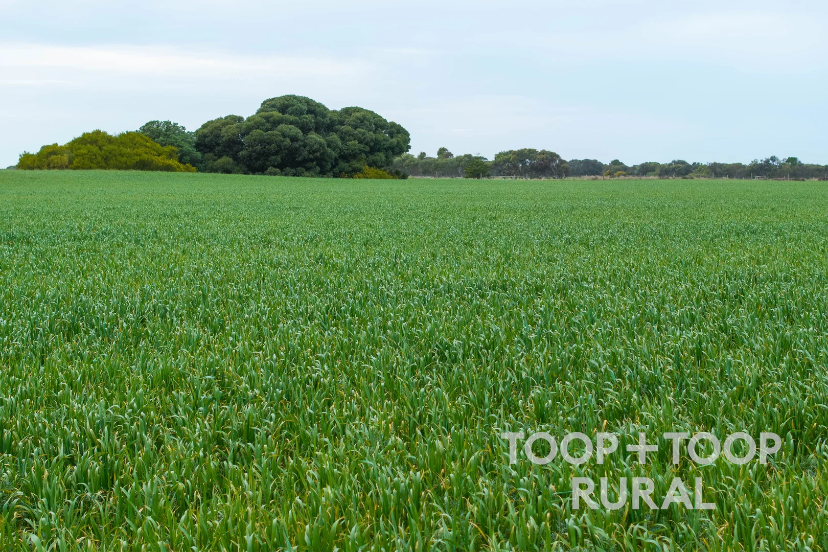 Additional image 17 of 248 Bongalong Road, Hindmarsh Island SA 5214