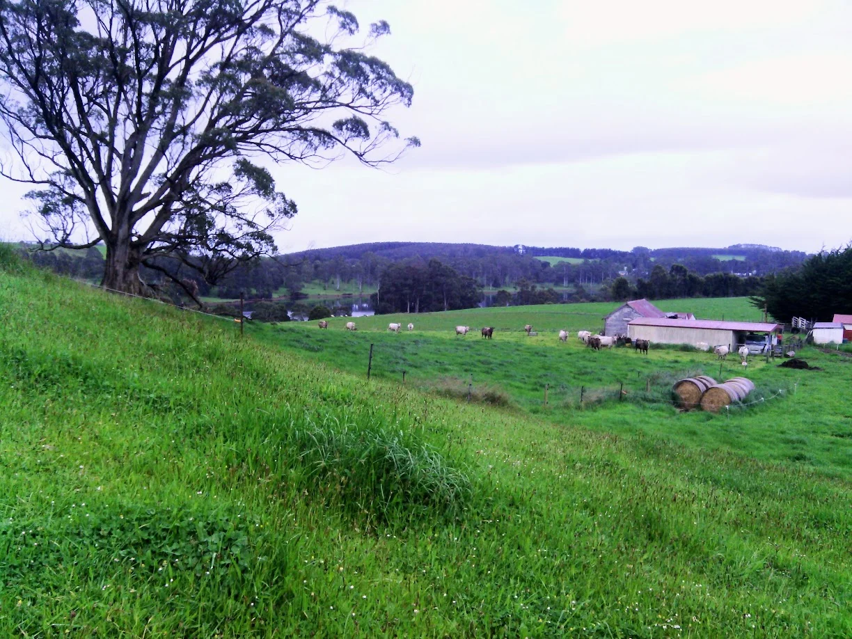 Additional image 29 of 729 Circular Road, Ridgley TAS 7321