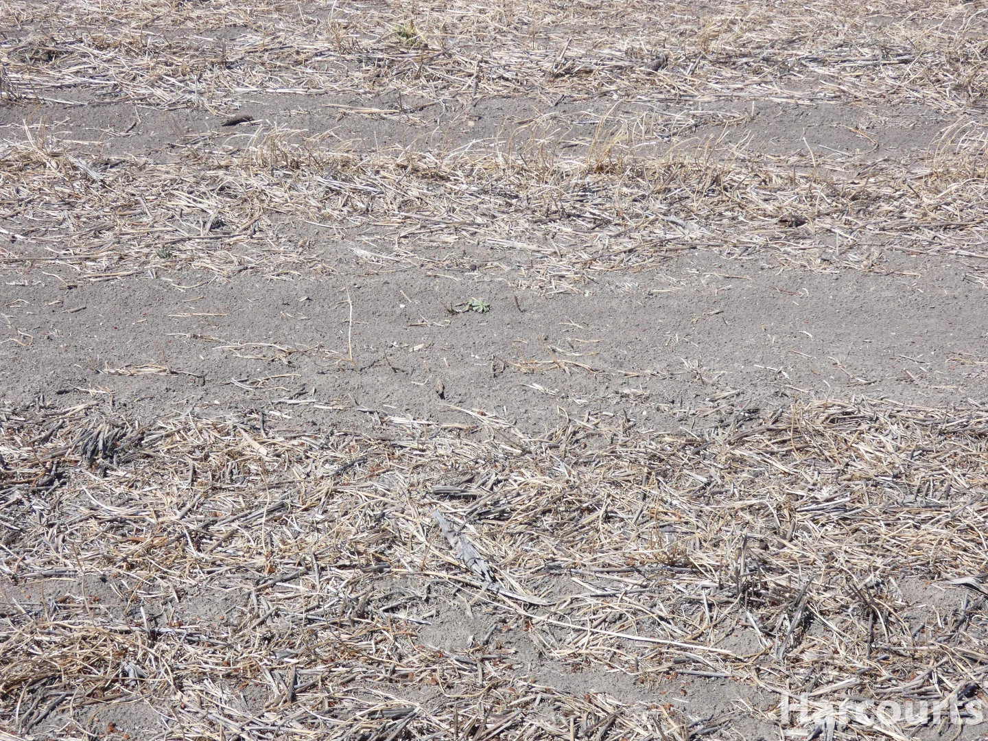 Additional image 29 of . Dimboola-Minyip Rd, Murra Warra VIC 3401