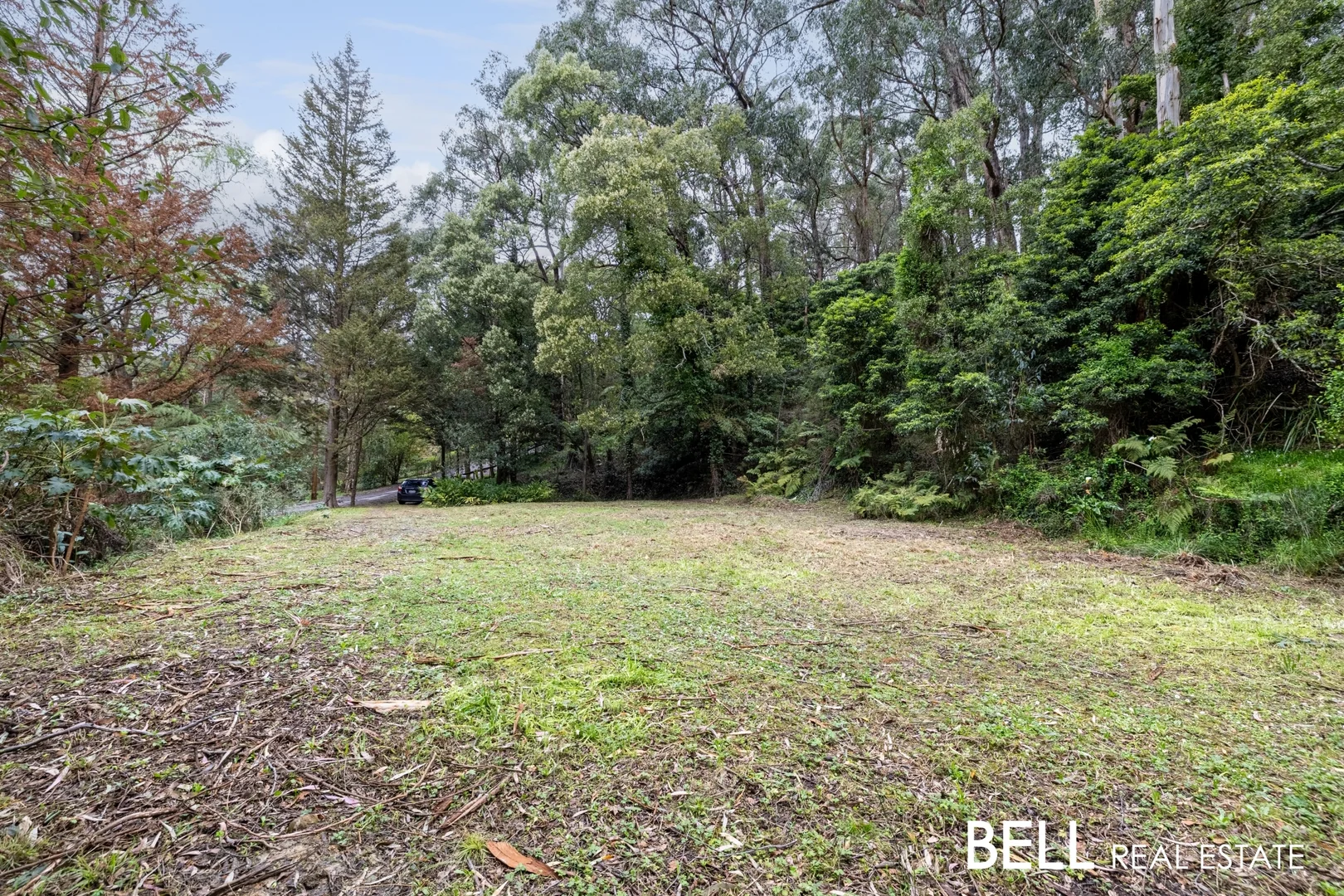 Additional image 7 of 103 Belgrave-Gembrook Road, Selby VIC 3159